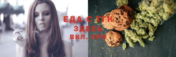 шишки Магас