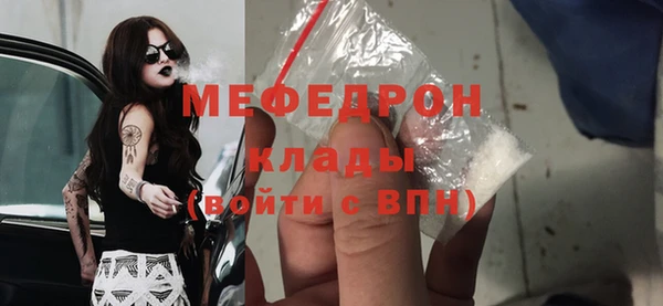 шишки Магас