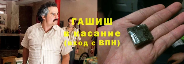 шишки Магас