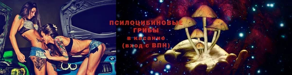 ГАЛЛЮЦИНОГЕННЫЕ ГРИБЫ Магадан