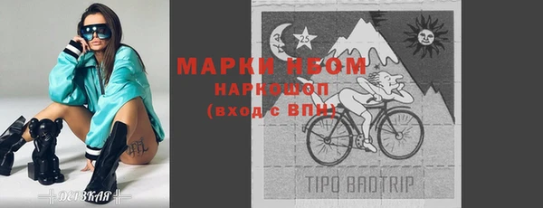 шишки Магас