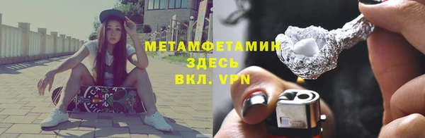 шишки Магас