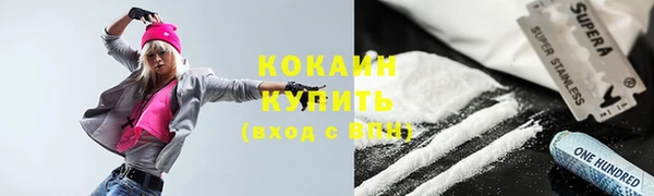 шишки Магас