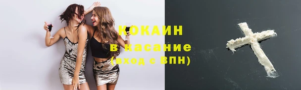 ГАЛЛЮЦИНОГЕННЫЕ ГРИБЫ Магадан