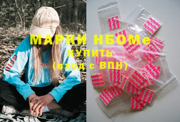 шишки Магас
