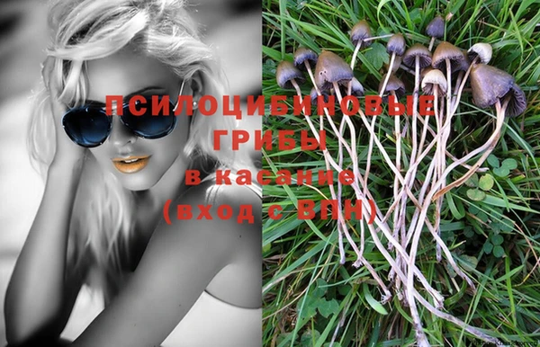 шишки Магас