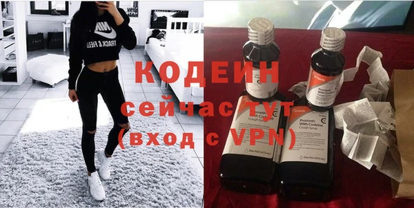 шишки Магас