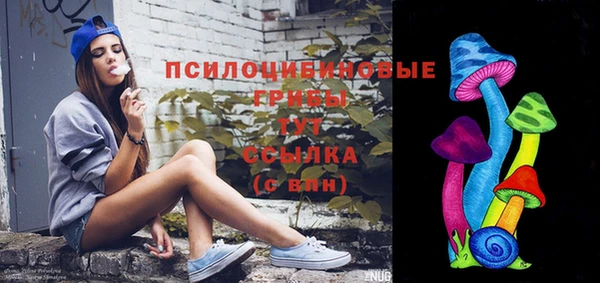ГАЛЛЮЦИНОГЕННЫЕ ГРИБЫ Магадан