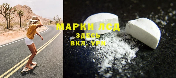 шишки Магас
