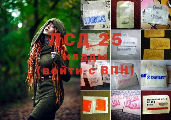 ГАЛЛЮЦИНОГЕННЫЕ ГРИБЫ Магадан