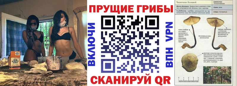Псилоцибиновые грибы MAGIC MUSHROOMS Тихвин