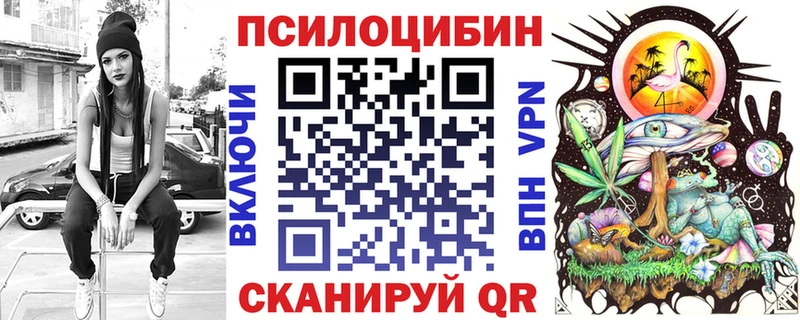 Галлюциногенные грибы Psilocybe  блэк спрут как войти  Тихвин 