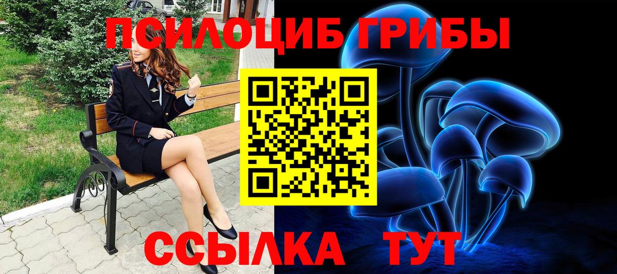 Тихвин  Псилоцибиновые грибы Psilocybine cubensis  Вход с VPN 